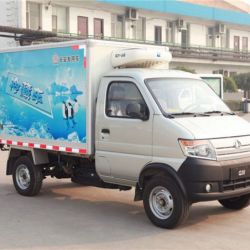 1 Ton 2 Ton Euro 3 Emission Standard Refrigerated Truck for Sale