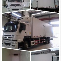 Sino HOWO 6X4 Refrigerator Truck