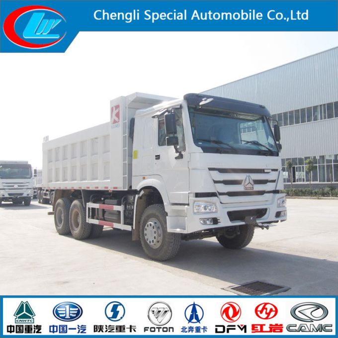 Sinotruk 6X4 HOWO Mining Dump Truck (CLW3916) 