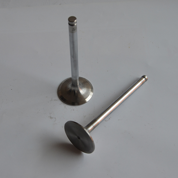 Truck Spare Parts Weichai Engine Intake Valve 