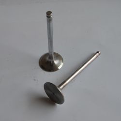 Truck Spare Parts Weichai Engine Intake Valve