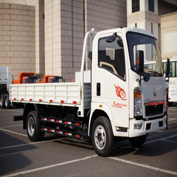 Sinotruk 120 HP Zz1107D3815c1 Cargo Truck 