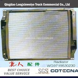 Full Range China Truck Parts HOWO Truck Parts -Radiator