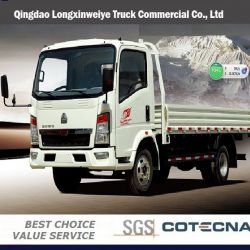 2015 New HOWO 3ton Light Cargo Truck