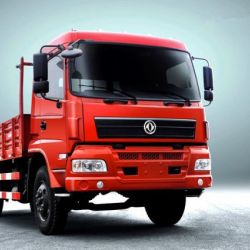 Dongfeng 4X2 Dfd1161g1 Cargo Truck/Truck for Sale