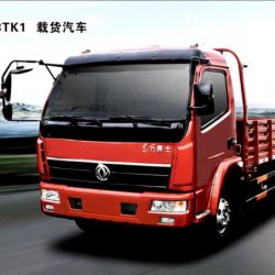 Dongfeng4X2 5t Cargo Truck/Lorry Truck