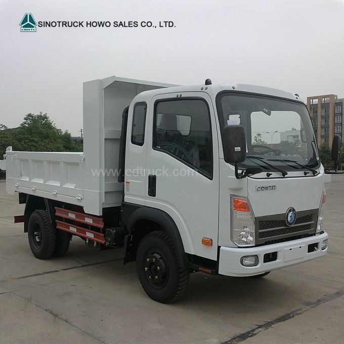 3ton 5ton HOWO Dongfeng Foton Dumper Tipper Light Dump Truck 