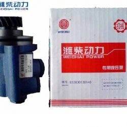 Steering Pump, Engine Parts for Truck