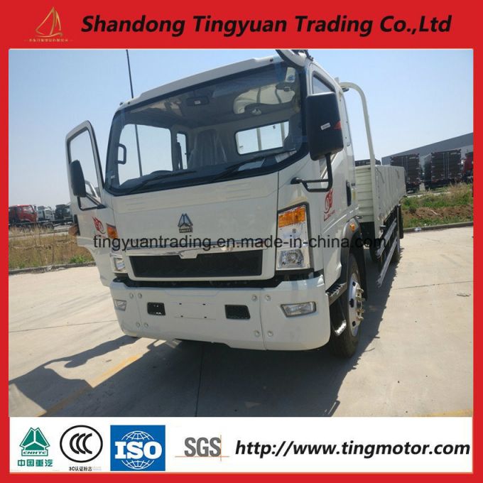 HOWO 4*2 Mini Truck with High Quality 