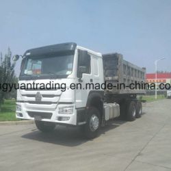 10 Wheels HOWO Dump Truck and Chassis for Sale