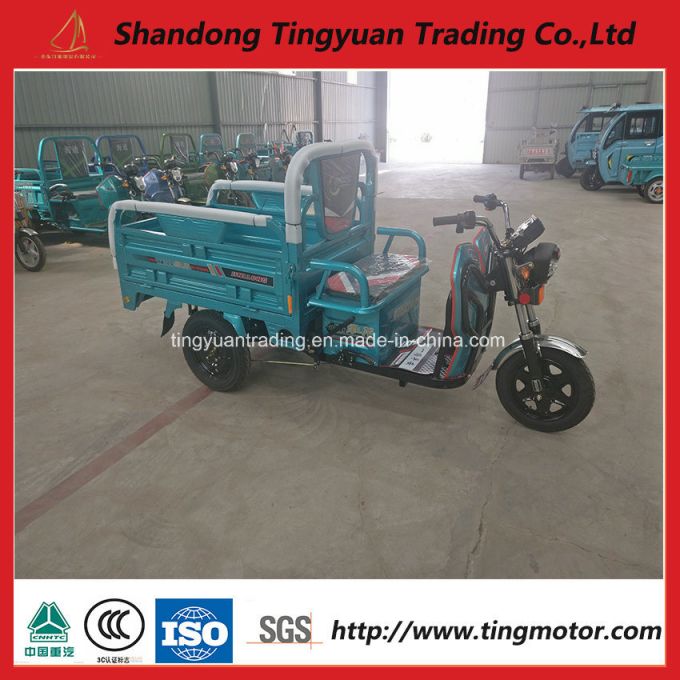 China New 48V/60V Electric Tricycle for Sale 