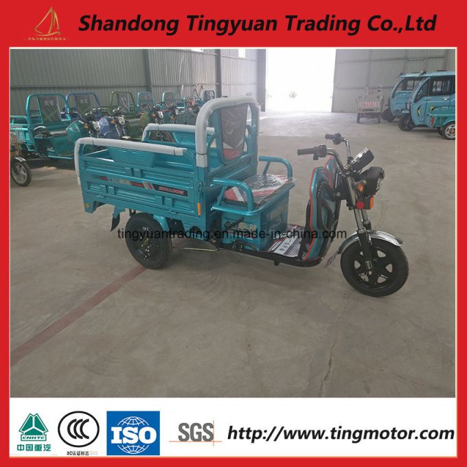 China New Electric Tricycle with High Quality 