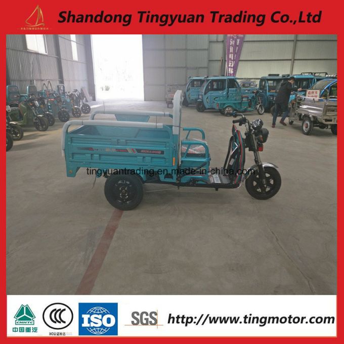 650W Electric Tricycle for Farm Use 