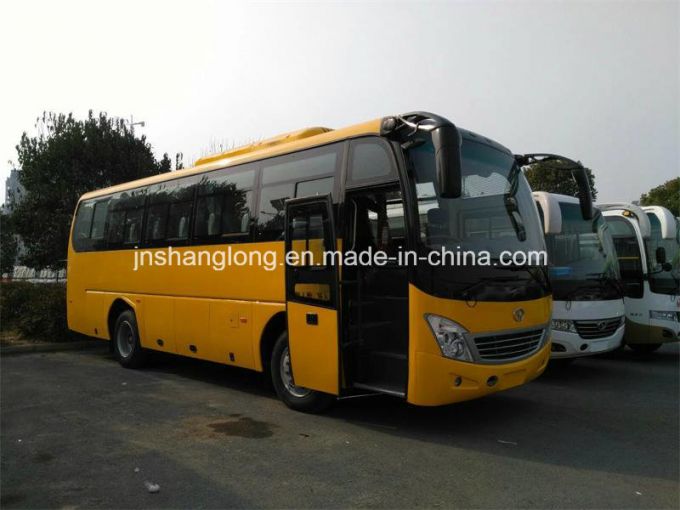 China 9 Meters Van LHD Rhd 40 Seats Bus 