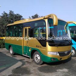 Small Passenger Bus with 22 Seats