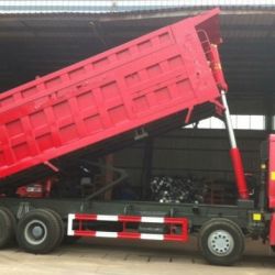 Sinotruk HOWO 8X4 371HP Euro 2 HOWO Dump Truck (ZZ3317N3867C1)