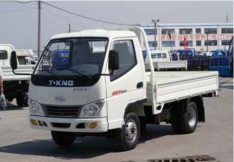 Light Truck (ZB1020BDBS) 