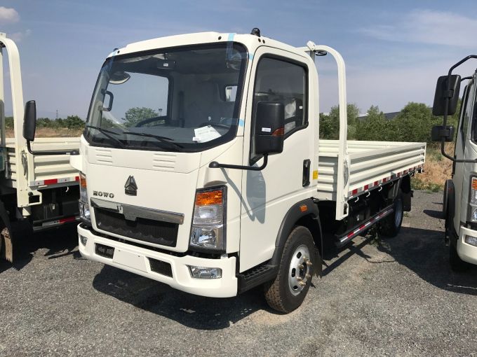 HOWO 4X2 Light Truck 3t Cargo Diesel Truck 