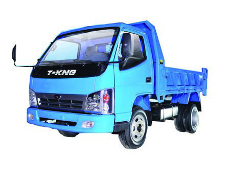 3 Ton Mini Dump Truck (ZB3046JDC) 