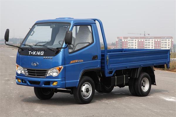 Tking 4X2 Diesel Engine 1t Small Cargo Truck 