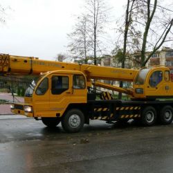 20 Ton Hot Mobile Truck Crane for Sales (QY20B. 5)