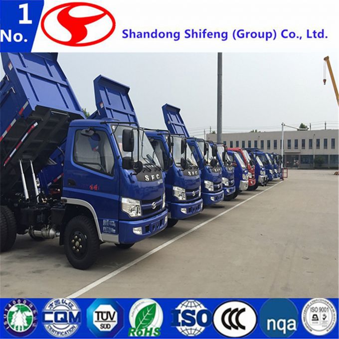 Fengshun Dump/Dumper/Light Duty Cargo/Mini/Commercial/Camion Light Truck 