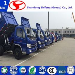 Fengshun Dump/Dumper/Light Duty Cargo/Mini/Commercial/Camion Light Truck