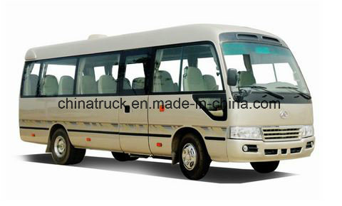 Chinese Co-Star Rhd/LHD 6m 17seats Luxurious Bus (COASTER Design) Passenger Bus 