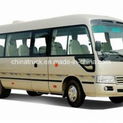 Chinese Co-Star Rhd/LHD 6m 20seats Luxurious Bus (COASTER Design) Passenger Bus