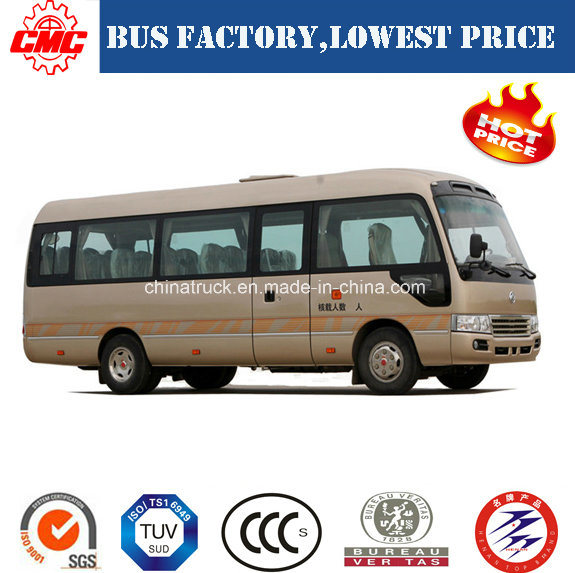 Dongfeng Costar Luxury Bus/Coach (26 Seats) Passenger Bus 