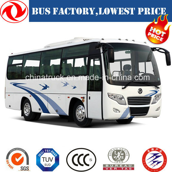 Hot Sales of Dongfeng 8m Tourist Coach/Bus (24-35 seats) Passenger Bus City Bus Minibus 