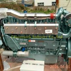 Sinotruk Steyr Engine Wd615 for JAC Mixer Truck