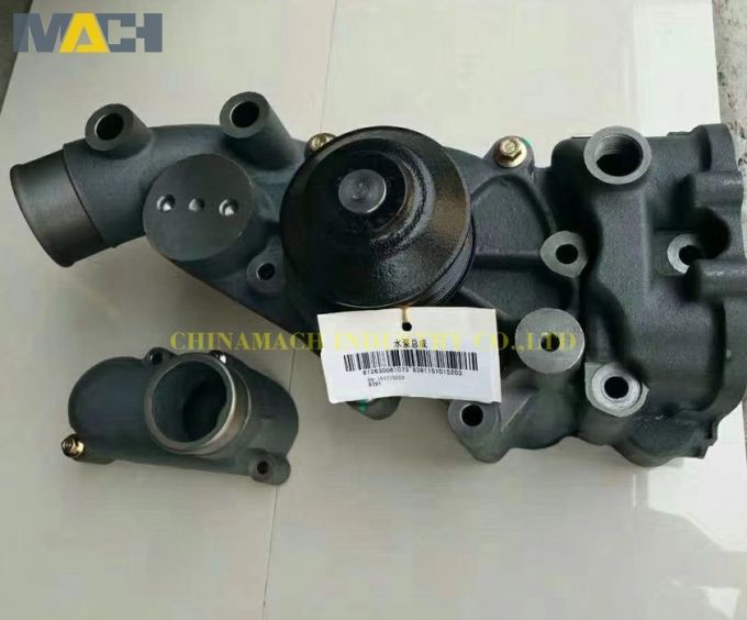 612630061073 Weichai Engine Water Pump (612630061073) 