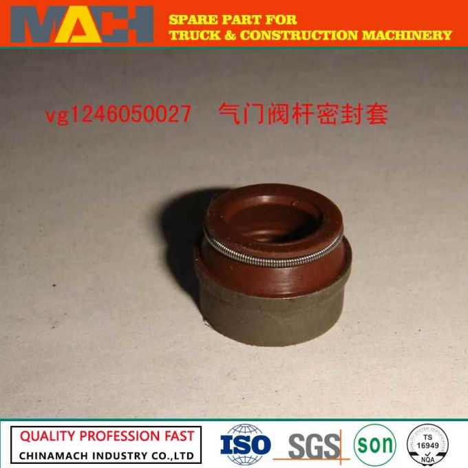 Sinotruk HOWO A7 Truck Engine Parts Valve Oil Seal (VG1246050027) 