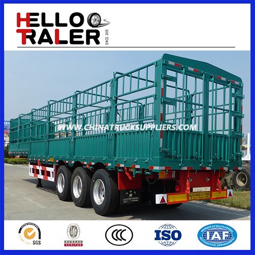 Factory Selling New High Wall Semi Trailer with Fence 