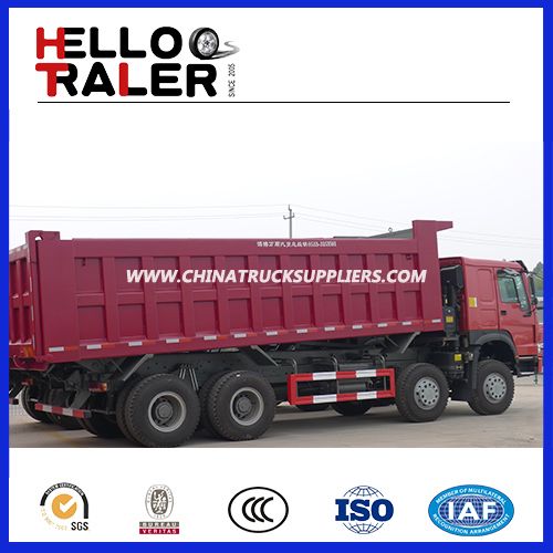 Brand New Sinotruk HOWO 8X4 371HP Tipper 