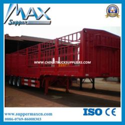 International Standard Cargo Box Trailer for Hot Sale