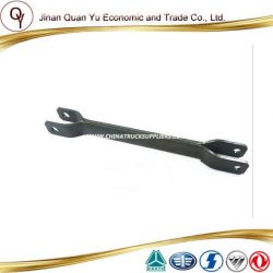 Rear Equilibration Clip Assembly for Sinotruck Howoa7 Truck Part (WG9925682128)