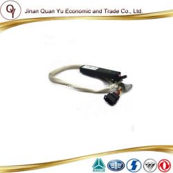 Cruise Combination Switch for Sinotruck HOWO Truck Part (WG9725584009)