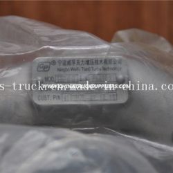 Ningbo Weifu Tianli Turbocharger