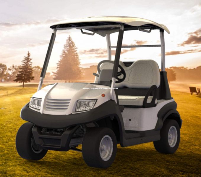 2 Seater Golf Car for Golf Course 