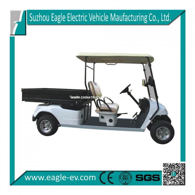 2 Seaters Electric Golf Car, Eg2048hcx 