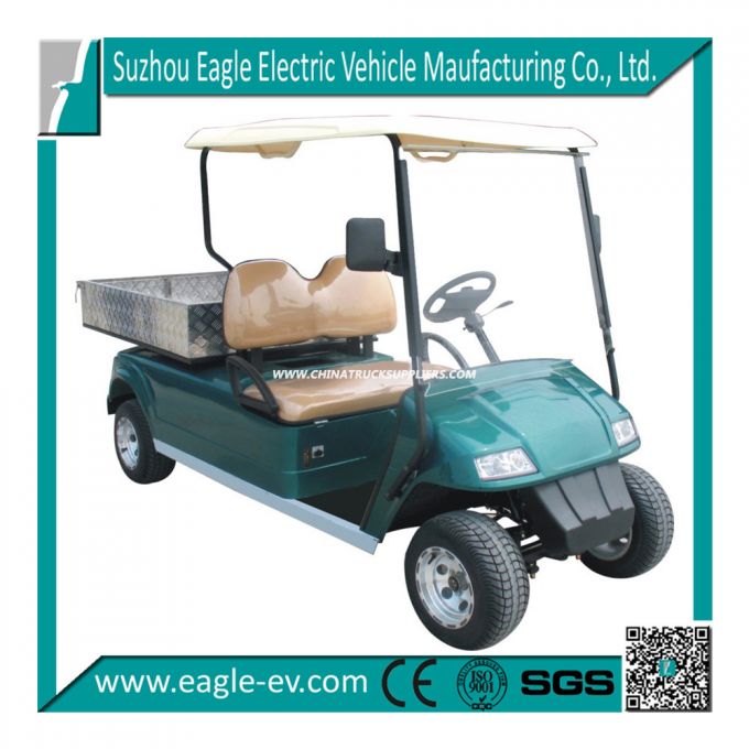 2 Seaters Electric Utility Cart with Hydraulic Lifted Cargo Box 