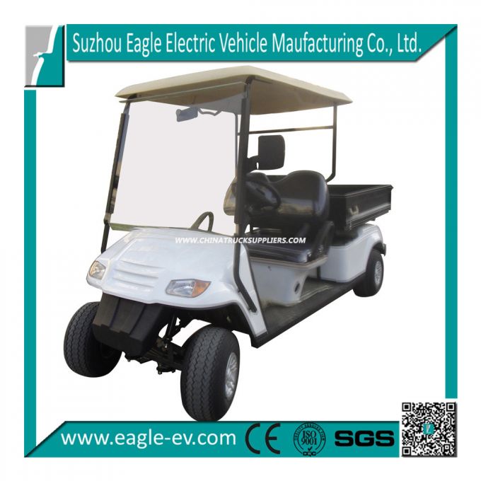 Electric Utility Golf Cars with 2 Seats, EG2049HCX 