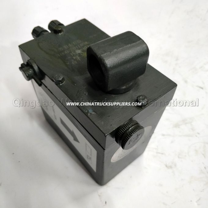 Wg9719826001 Hydraulic Pump for HOWO, Steyr 