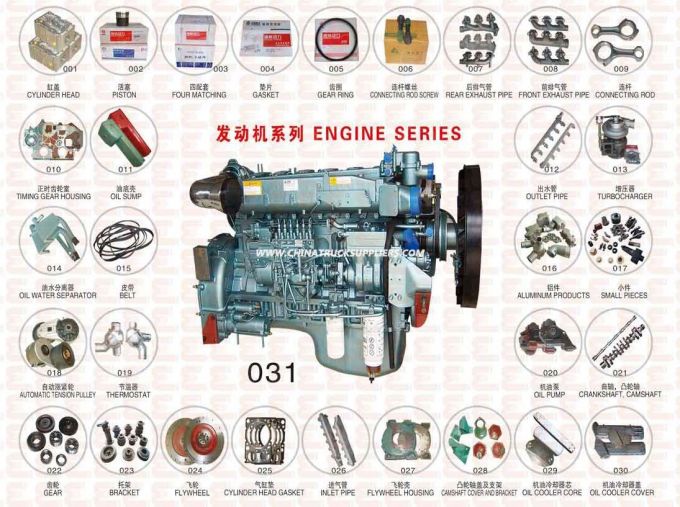 336HP Euro 2 Emission Standard Sinotruk Engine Wd615.69 for HOWO Truck 