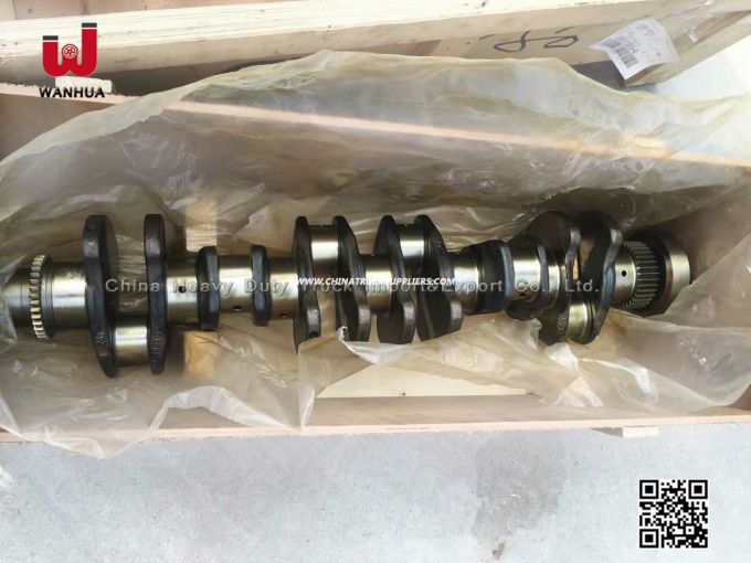 Cnhtc Engine Crankshaft Truck Parts (NO. 161560020029) with High Quality 