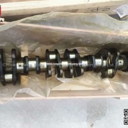 Cnhtc Engine Crankshaft Truck Parts (NO. 161560020029) with High Quality