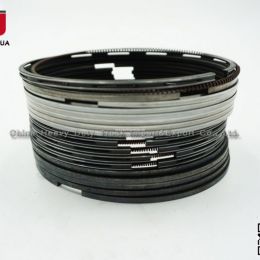 HOWO Parts of Engine Piston Ring Kits (Vg1560030040)