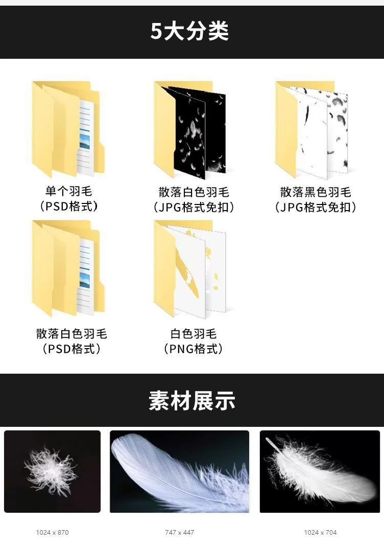 梦幻白色羽毛飘落散落黑色绒毛png免扣psd设计素材图片 2